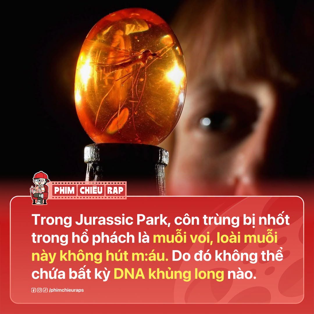 Loài muỗi trong phim Kỷ Jura không hút máu động vật 1 719032669 1316608516604825 7596155380330753275 n