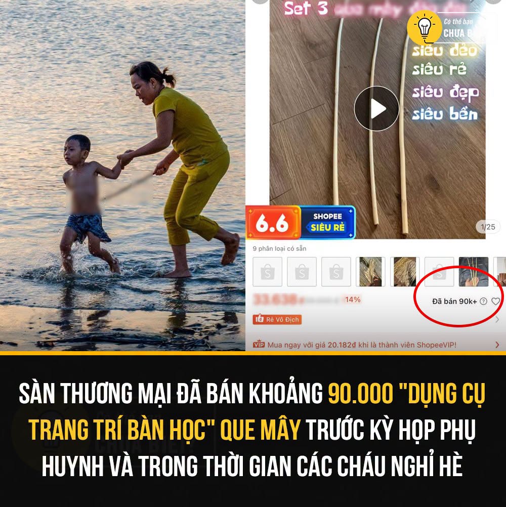 Doanh số tăng mạnh của que mây trang trí bàn học trên sàn thương mại điện tử 1 719598975 956197390581915 7375697595381836374 n