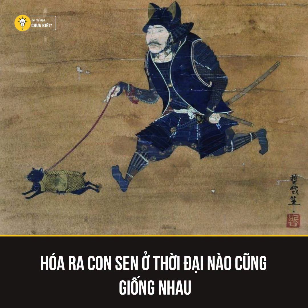 Thiên hoàng Saga Nhật Bản ghi chép về mèo cưng năm 809 1 722039048 949264084774181 4940727761987991309 n
