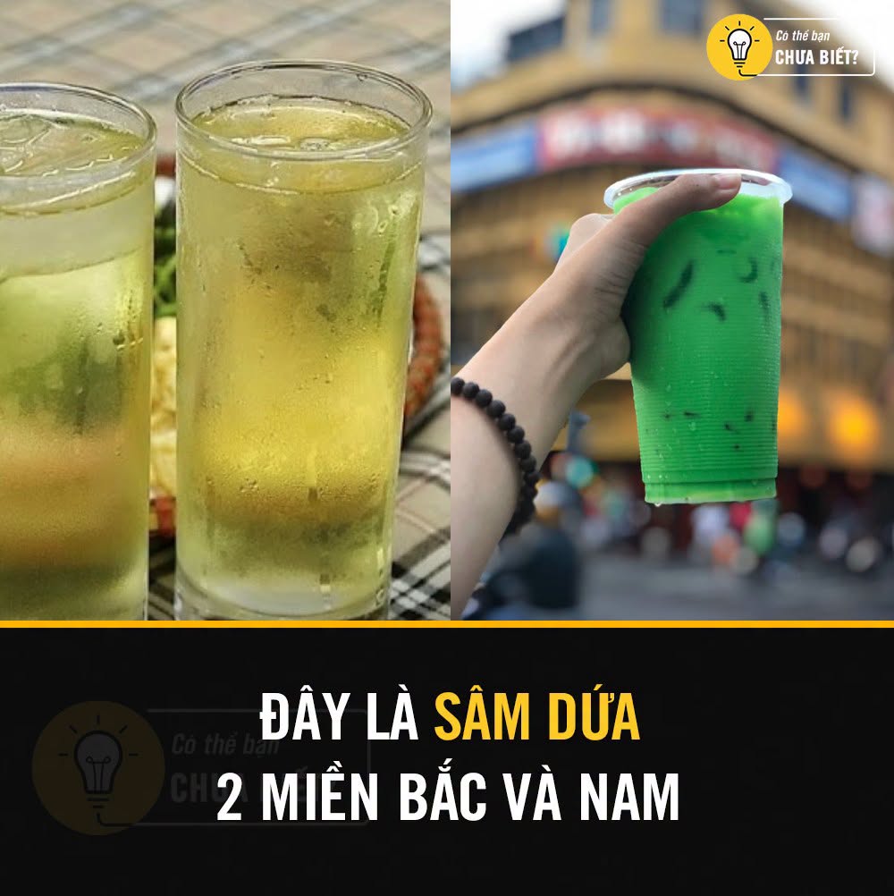 Sự khác biệt khi gọi sâm dứa ở các vùng miền Việt Nam 1 727519972 1330497248548949 7974869259978898565 n